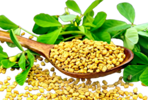 Fenugreek