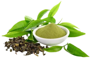 Green Tea Extract